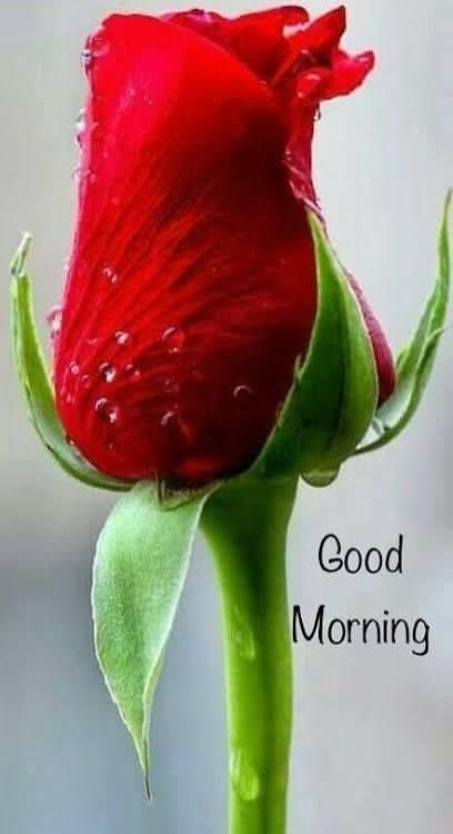 Bridal Makeup and Hair